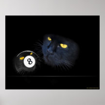 KuriousKat Posters
