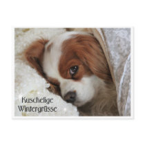 Kuschelige Wintergrüsse Postkarten