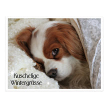 Kuschelige Wintergrüsse Postkarten
