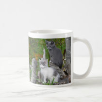 Kute Kittens mugs