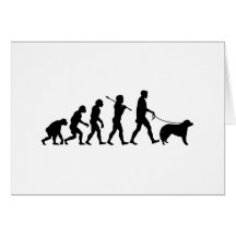 Kuvasz Greeting Card