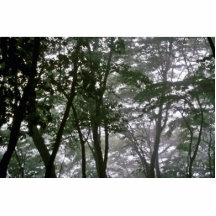 Kyongju - Misty Morning Photo Cutout