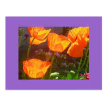 l_76fddf2b7e5b0320185496891d85a2e0 postcards