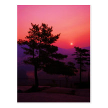 l_82ababc6e65ba6b32e37e64d69a96d3c postcard