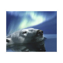 La "AURORE RÊVANT" la copie d'ours blanc Impression Sur Toile