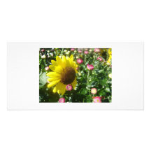 La beauté de la nature cartes avec photo