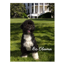 La BO Obama Carte Postale