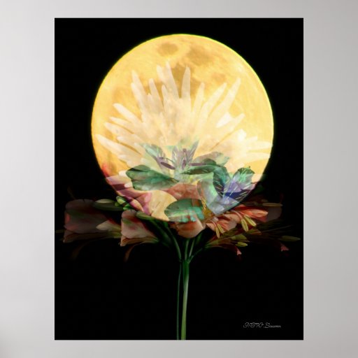 La boule regardante fixement de Dieu Posters