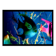 La bouteille Fish~1 par le ~ d'ATC de jGibney ouvr Cartes De Visite Personnelles
