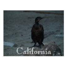 La Californie Carte Postale