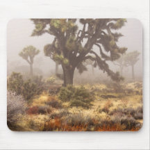 La Californie : Monument national d'arbre de Joshu Tapis De Souris