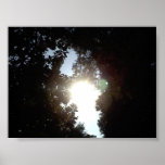 La Caroline du Sud Sun Posters