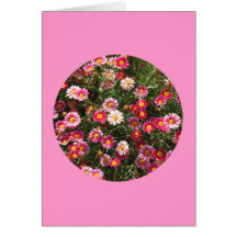 La carte, "a peint des marguerites en cercle" F-1