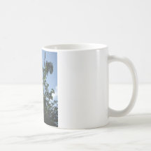 La cendre en hausse tasses