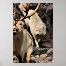 La chasse posters