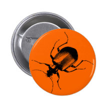 La Cucaracha Pinback Buttons