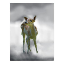 La curiosité du cerf commun de bébé carte postale