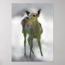 La curiosité du cerf commun de bébé posters