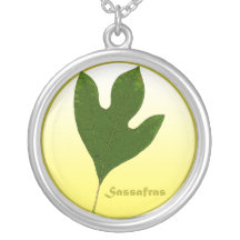 La feuille de sassafras collier