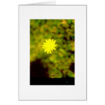 La Fleur Card