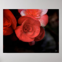 La Fleur Rouge [Art Print]