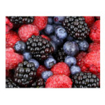 La forêt porte des fruits carte postale