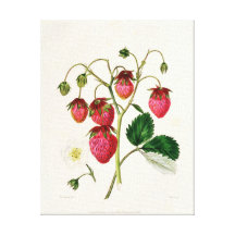La fraise de Roseberry, gravée par Watte Impressions Sur Toile