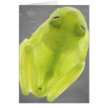 La grenouille en verre transparente carte de vœux