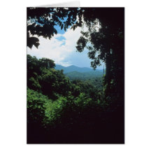 LA GUYANE FRANÇAISE FRANÇAISE : Vue de forêt tropi Carte De Vœux