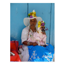 La Habana Cuba Postcard
