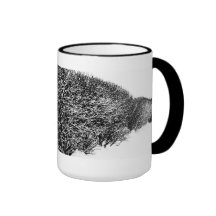 la haie de l'hiver mug