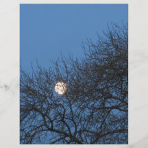 La lune prospectus personnalisés