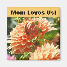 La maman nous aime ! fleurs oranges de dahlia d'ai