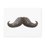 La Moustache postcards