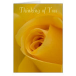 La pensée à vous cardent - la fleur de rose jaune cartes de vœux