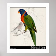La perruche Écarlate-Colletée d'Edward Lear Posters