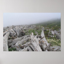  La Push, Pacific Coast - WA Poster