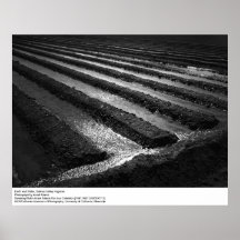 La terre et l'eau par Ansel Adams Posters