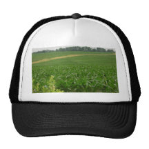 La terre verte de dieux ...... casquette de camionneur