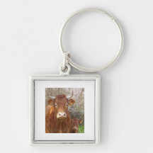 La vache et son veau keychain