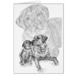 Lab Dog & Puppy Drawing by Kelli Swan Cards
