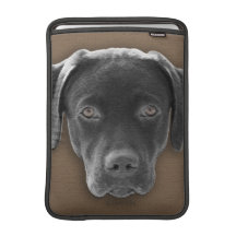 Lab MacBook Sleeves