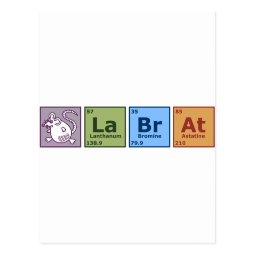 Lab Rat Postcard