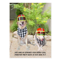 Lab Traits - Fast & Cute Post Cards