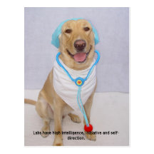 Lab Traits - High Intelligence Postcards