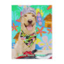Lab Traits - Love Water Postcards