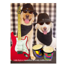 Lab Traits - Mellow Post Card