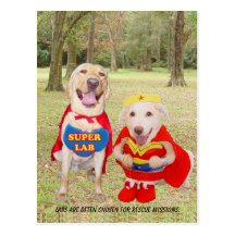 Lab Traits - Rescue Missions Post Card