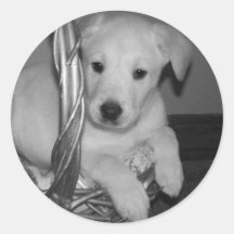 Labby Sticker