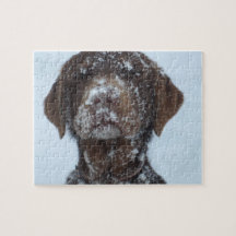 Laboratoire dans le puzzle de neige